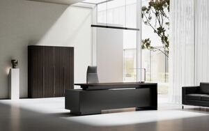 Кабинет руководителя AURUS