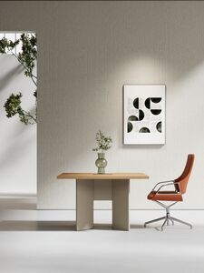 Кабинет руководителя AURUS