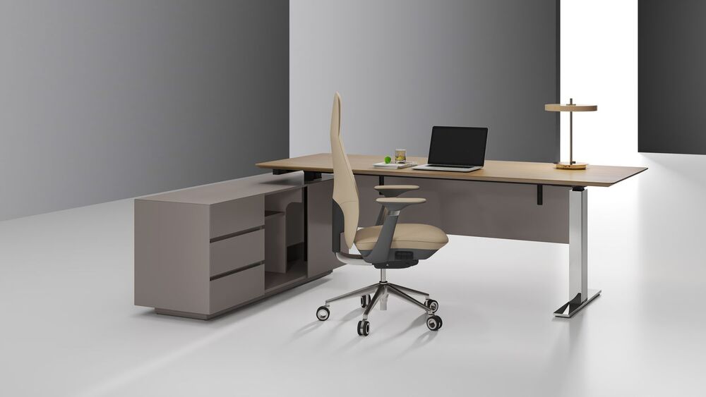 Кабинет руководителя WINTER