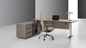 Кабинет руководителя WINTER