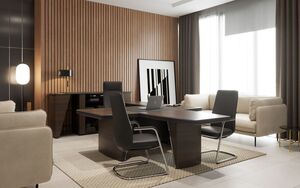 Кабинет руководителя New.Tone