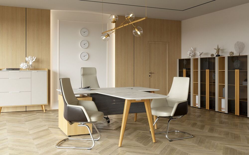 Кабинет руководителя Remo