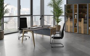 Кабинет руководителя Remo