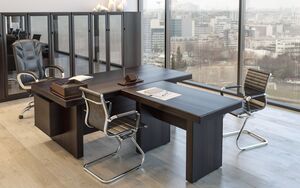 Кабинет руководителя Sydney