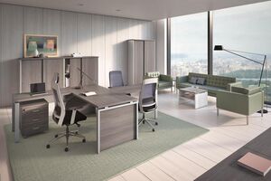 Кабинет руководителя FLASH