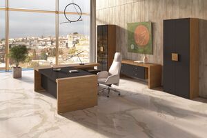 Кабинет руководителя KYU DM