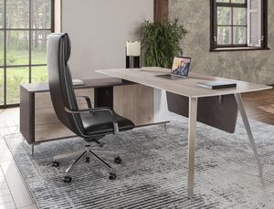 Кабинет руководителя SIRIO