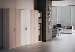 Кабинет руководителя Asti