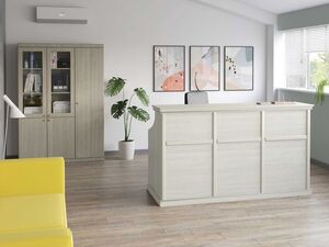 Кабинет руководителя Bern