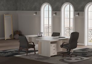 Кабинет руководителя Chicago