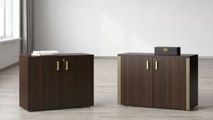 Кабинет руководителя Chicago