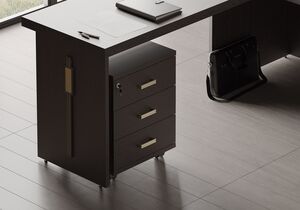 Кабинет руководителя Chicago