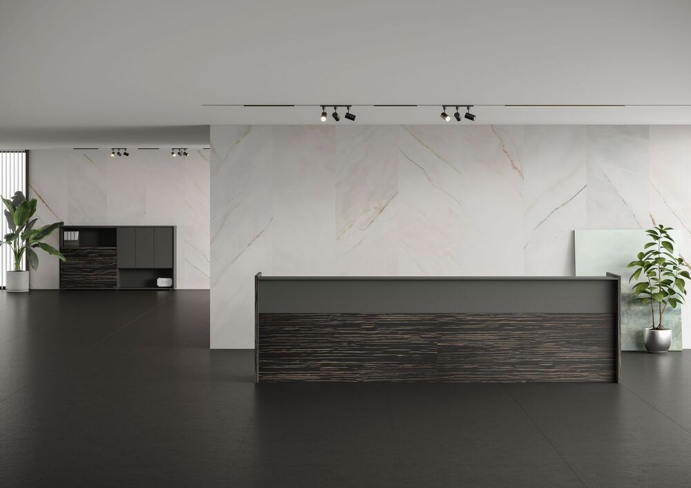 Кабинет руководителя Dali