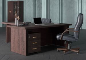 Кабинет руководителя Monza