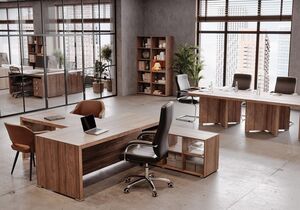 Кабинет руководителя Solid