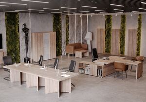 Кабинет руководителя Solid