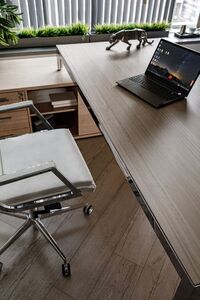 Кабинет руководителя Enzo