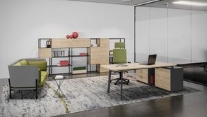 Кабинет руководителя FLEX