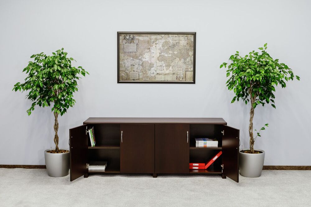 Кабинет руководителя Forte