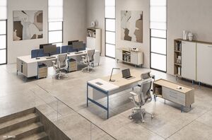 Кабинет руководителя RING