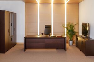 Кабинет руководителя Tempio