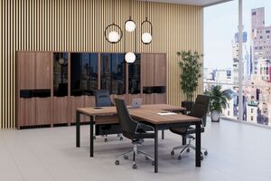 Кабинет руководителя Акцент