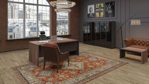 Кабинет руководителя Кортез