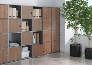 Офисная мебель для персонала LOCKER plus (Системы хранения)