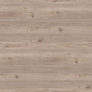 Дуб тоскана