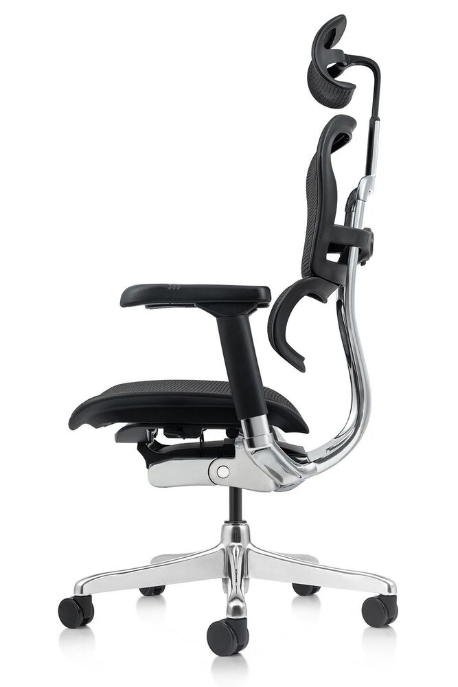 Кресло для руководителя Ergohuman Elite 2