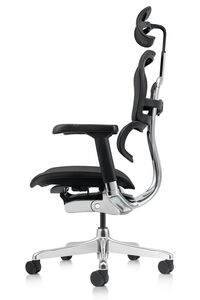 Кресло для руководителя Ergohuman Elite 2