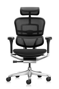 Кресло для руководителя Ergohuman Elite 2