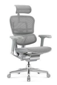 Кресло для руководителя Ergohuman Elite 2