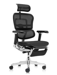 Кресло для руководителя Ergohuman Luxury 2 Legrest