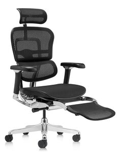 Кресло для руководителя Ergohuman Luxury 2 Legrest