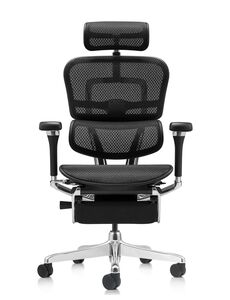 Кресло для руководителя Ergohuman Luxury 2 Legrest