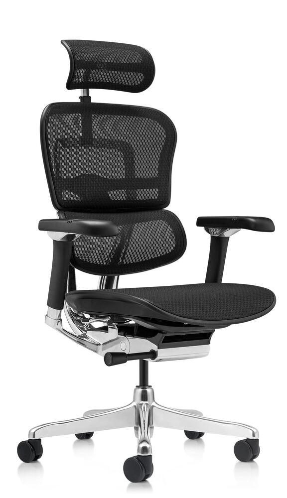 Кресло для руководителя Ergohuman Luxury 2