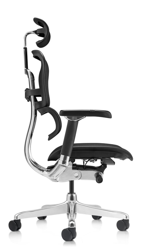 Кресло для руководителя Ergohuman Luxury 2