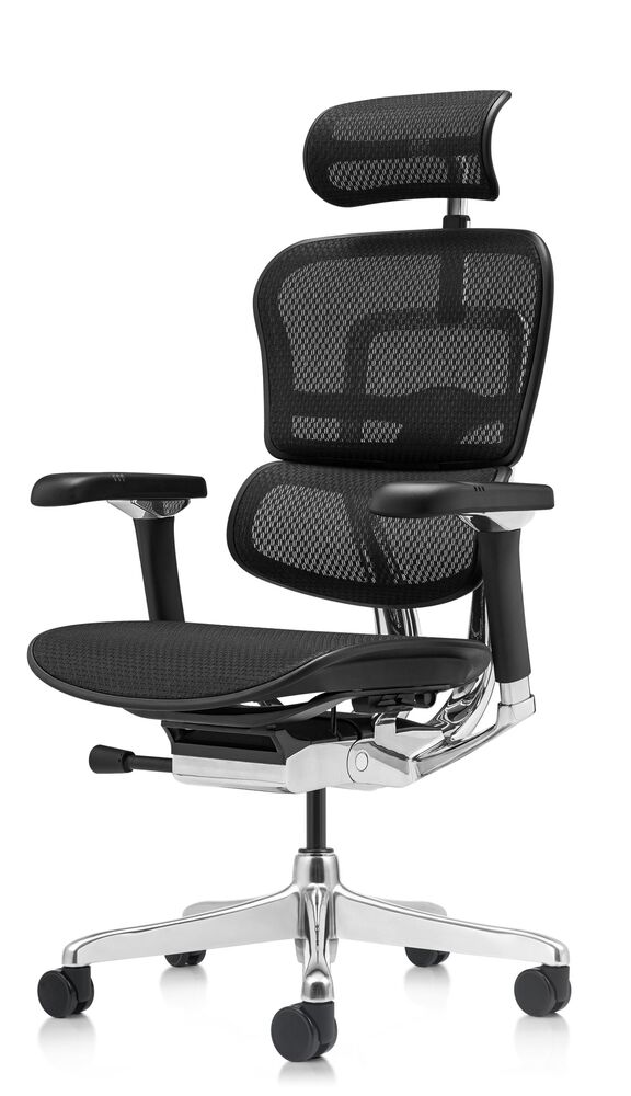 Кресло для руководителя Ergohuman Luxury 2