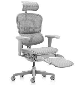 Кресло для руководителя Ergohuman Ultra Legrest