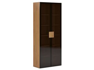 Шкаф двухдверный (стеклянный фасад)