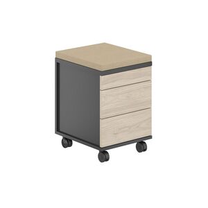 Тумба мобильная 2 ящ. ЛДСП+лот.ящ.+подушка