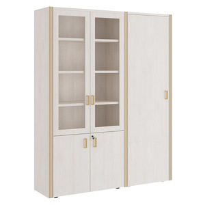 Шкаф для бумаг с одностворчатым гардеробом