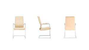 Кресло со средней спинкой на полозьях