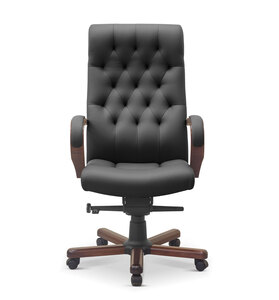Кресло руководителя Status eco