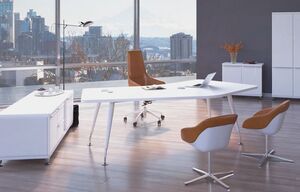 Кабинет руководителя EMPORIO видео.